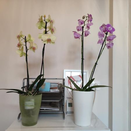 Falk Miksa Apartment Budapest Luaran gambar
