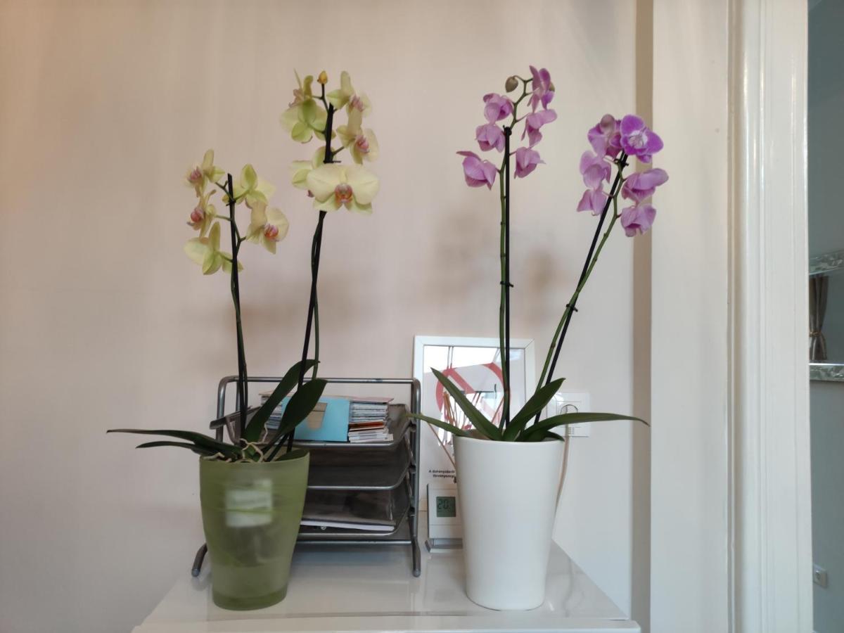 Falk Miksa Apartment Budapest Luaran gambar